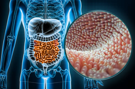 마이크로바이옴
