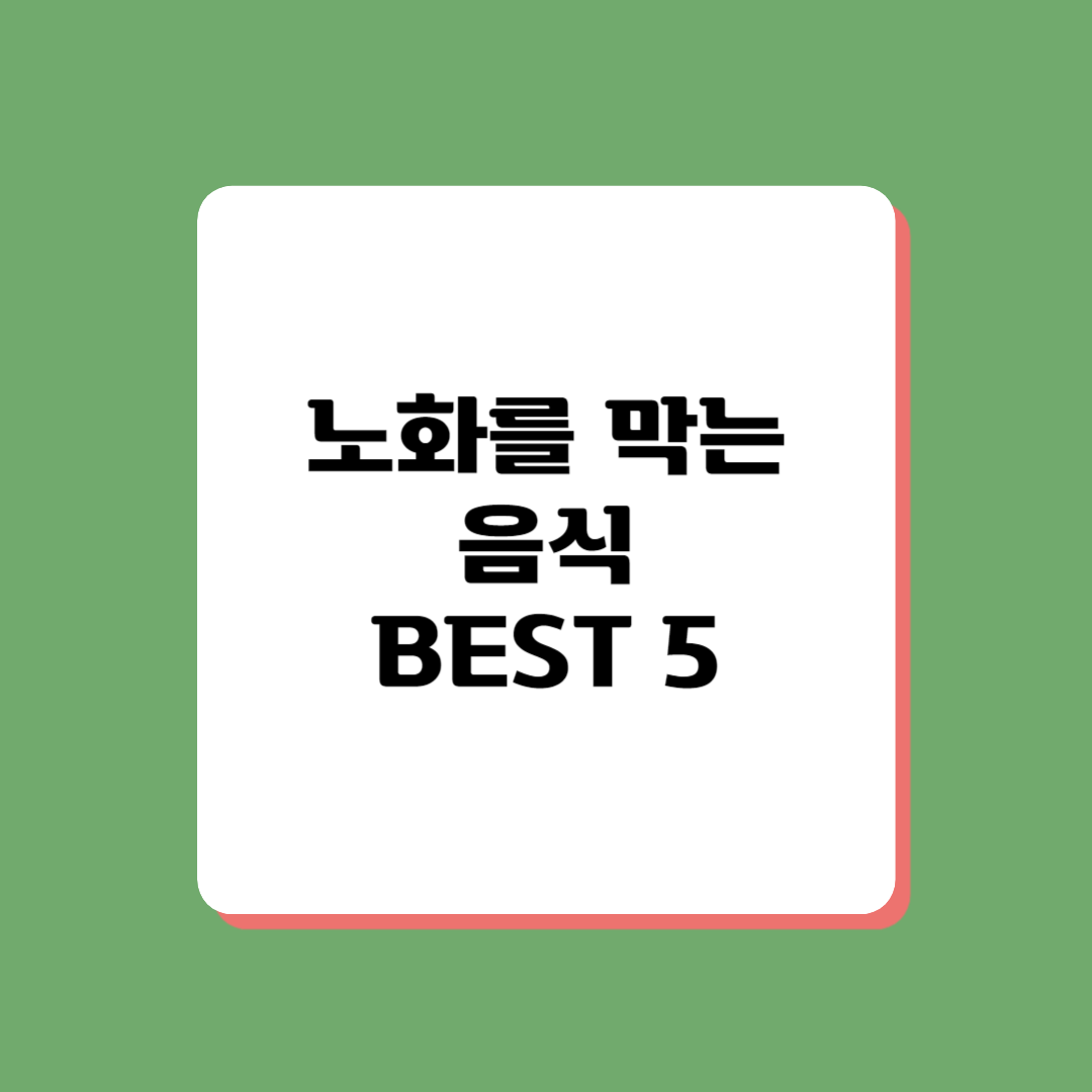 건강한 식단의 중요성