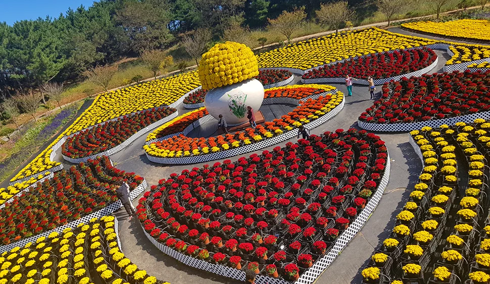 제6회 2023 태안 가을꽃박람회