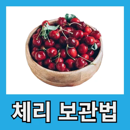 체리 보관법