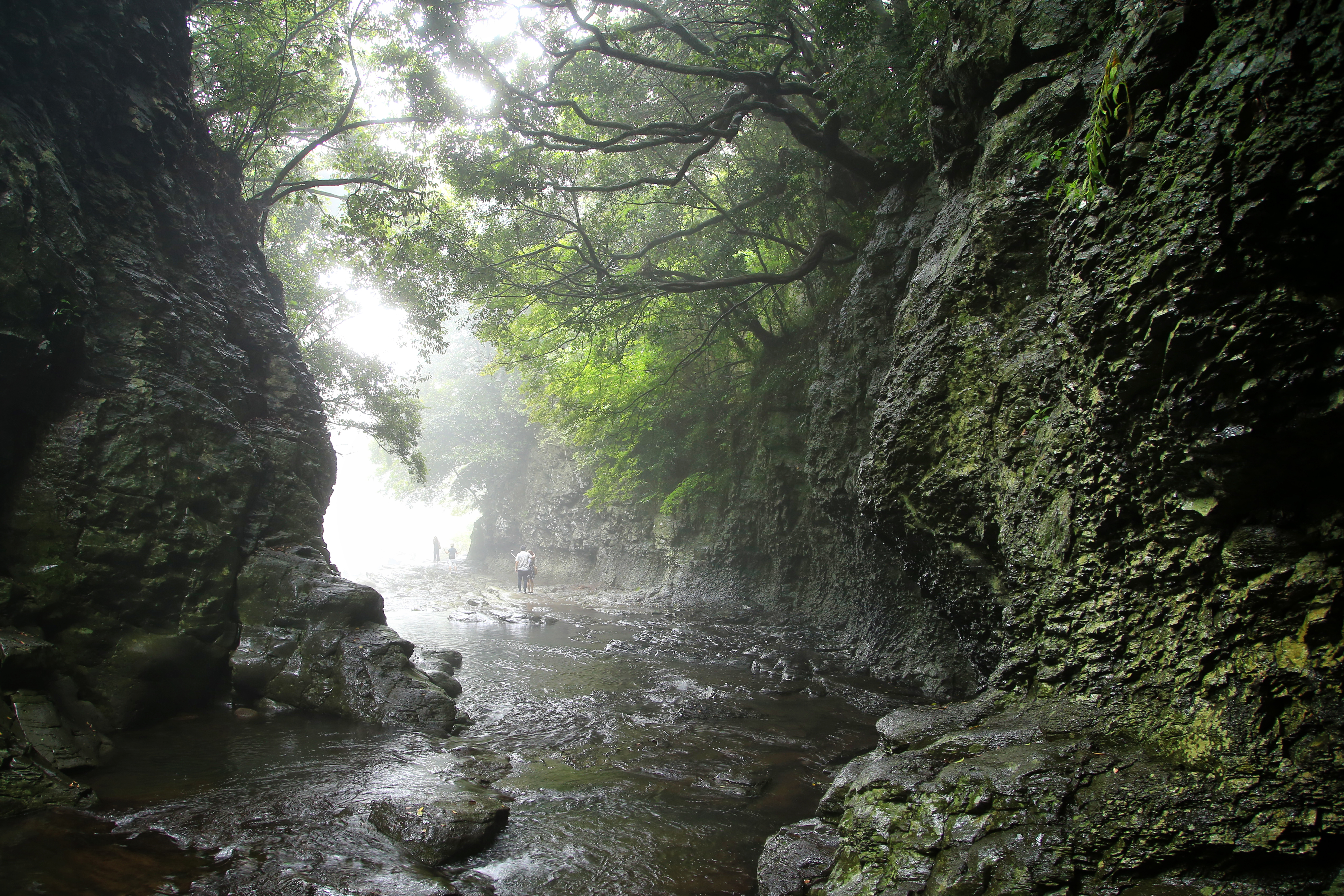 제주도 서귀포시 안덕계곡 by 피어나네 저작권 없는 고화질 무료 이미지
