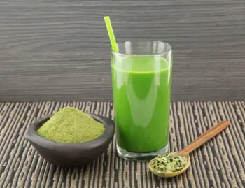 모링가 효능 및 영양성분, 주의점