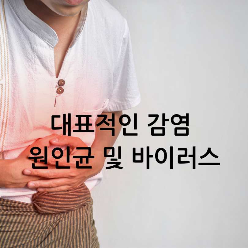 수인성 식품매개 감염병 증상과 예방법