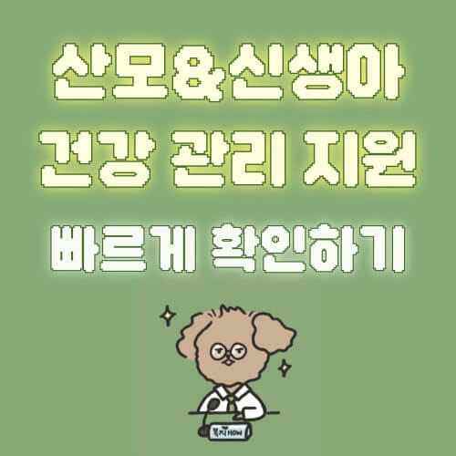 산모 신생아 건강관리 지원사업