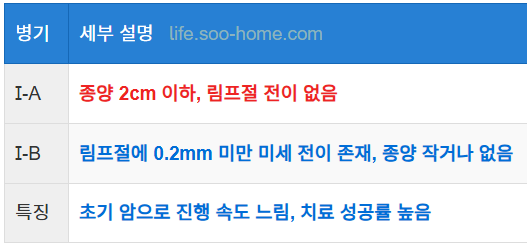 유방암 1기의 병기와 진행 상태