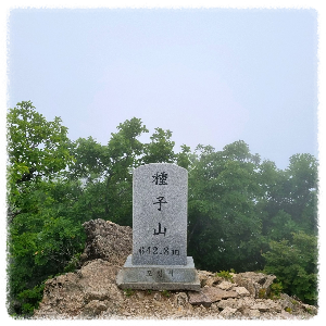 종자산