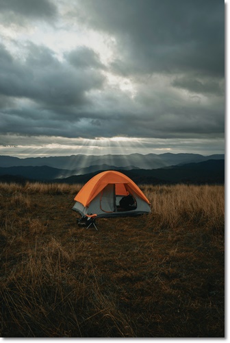 일산 킨텍스 고카프 캠핑 박람회 무료입장