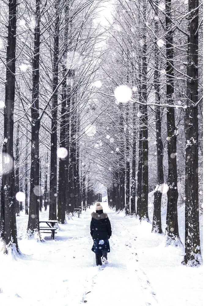 서울 근교 겨울철 여행지 추천 사진