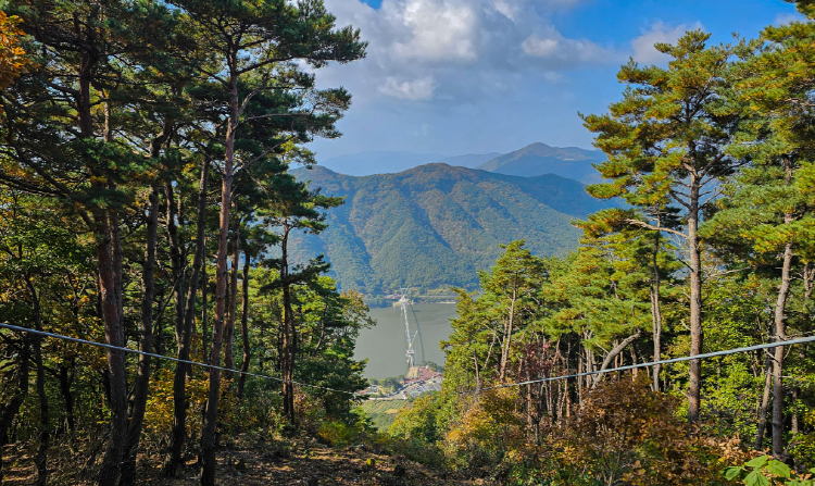 영천 보현산 짚라인