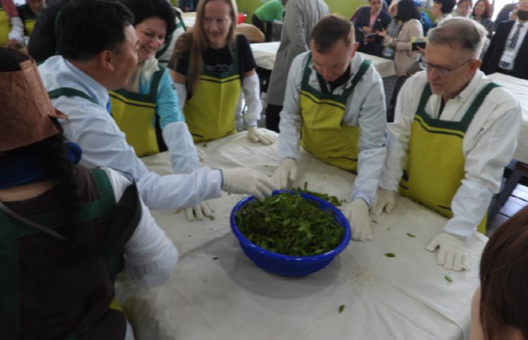 보성 다향대축제