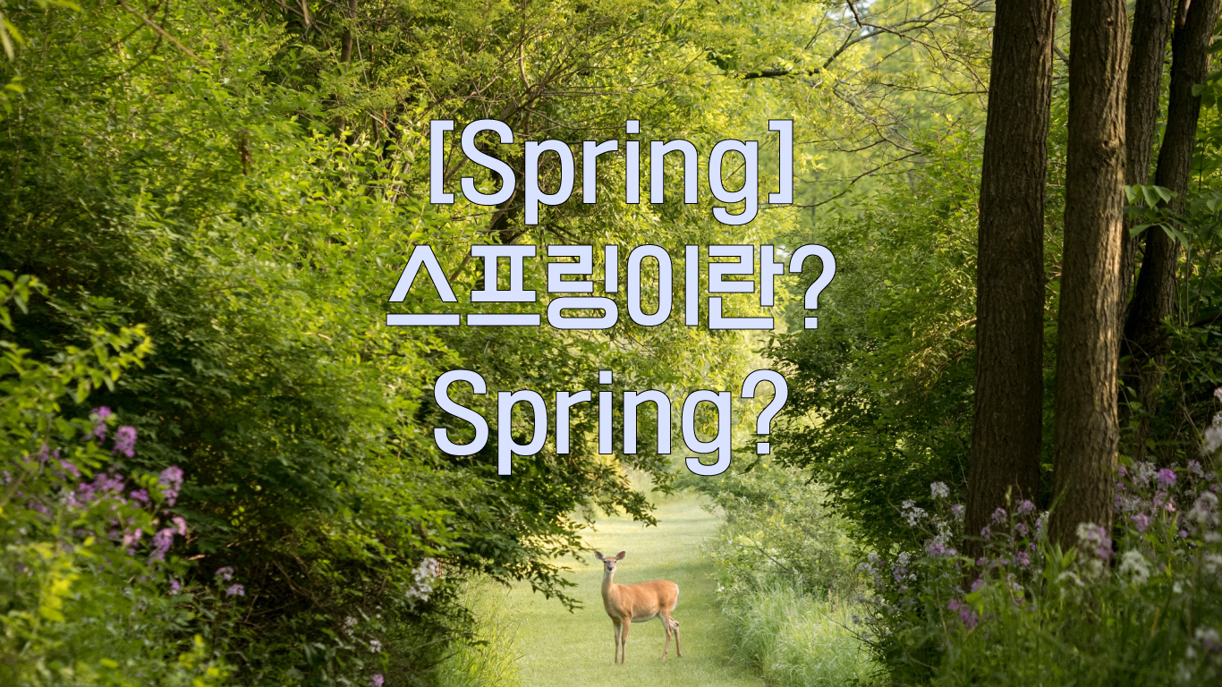 [Spring] 스프링(Spring)이란?