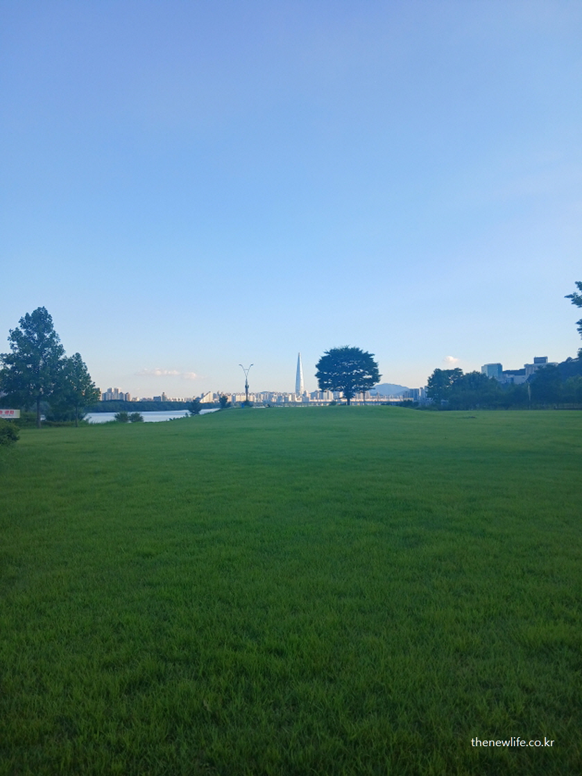 Wide grassy field at Guri Hangang Park with a skyline view, illustrating a softer and more sustainable alternative to dirt earthing/구리 한강시민공원의 넓은 잔디밭 &ndash; 흙길보다 더 부드럽고 꾸준한 실천이 가능한 잔디밭 어싱 효과 설명을 위한 사진