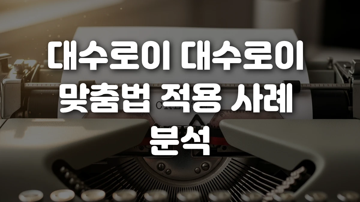 대수로이 대수로이 맞춤법 적용 사례 분석