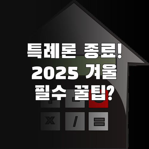 특례보금자리론 종료 2025년 겨울 ..