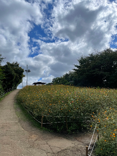 삶을 바꾸는 걷기 습관은 오래 가는 방식