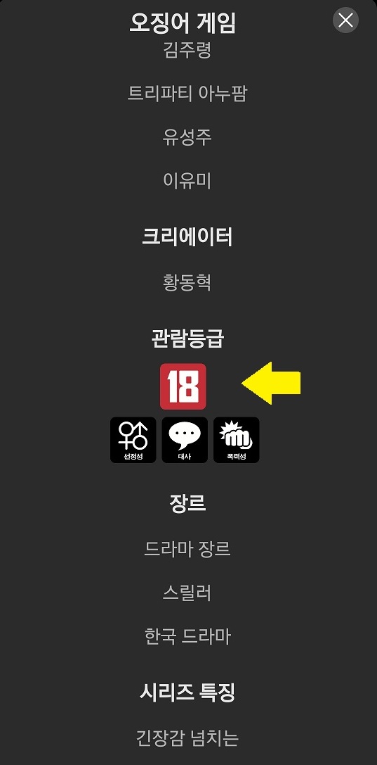 넷플릭스 verifyage 연령인증