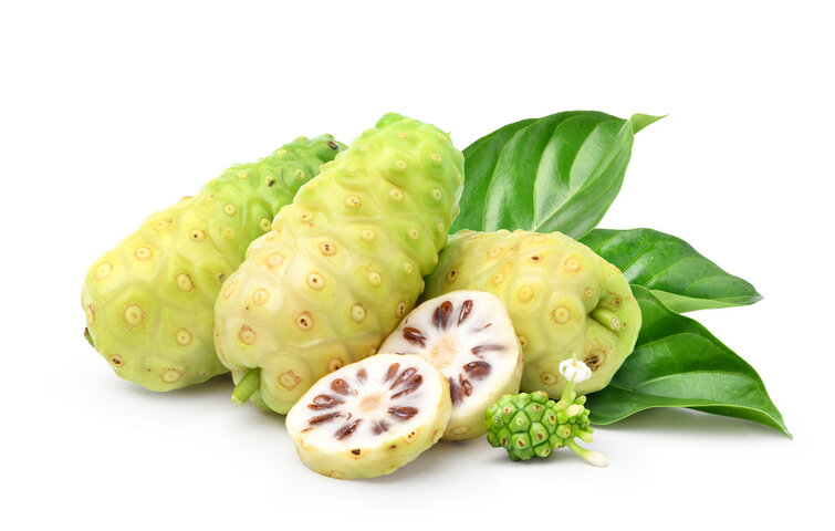 노니 효능 및 부작용 알아보기 