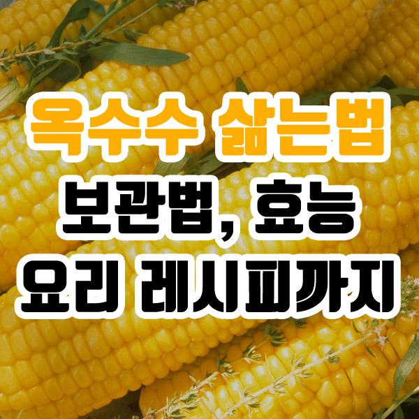 옥수수 삶는법 보관법 효능 요리 레시피까지