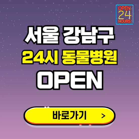 서울 강남구 24시 동물병원 진료하는 곳 ❘ 설날 휴일 야간 심야 문여는곳 찾기 ❘ 응급진료