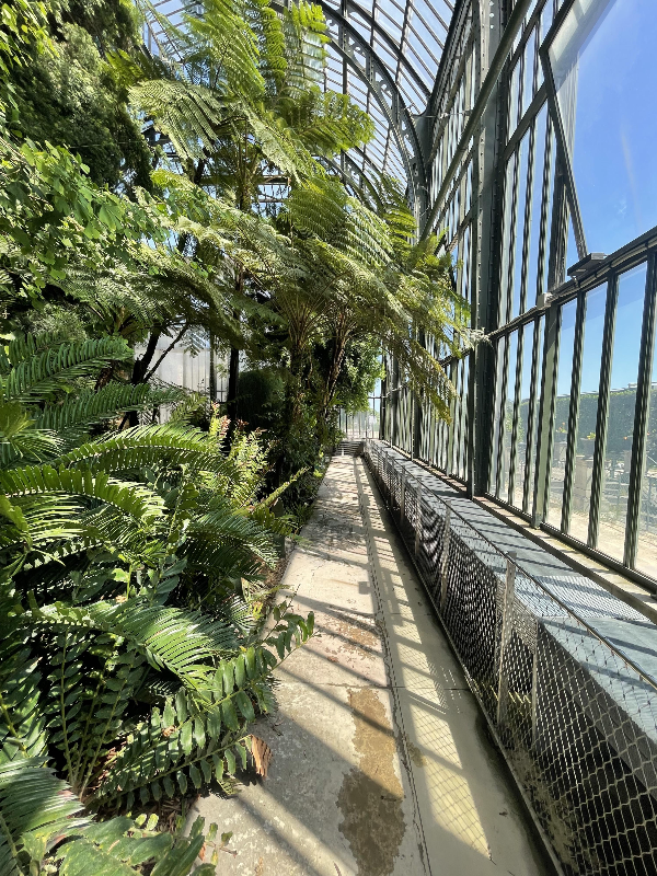 Serre de l'Histoire Des Plantes