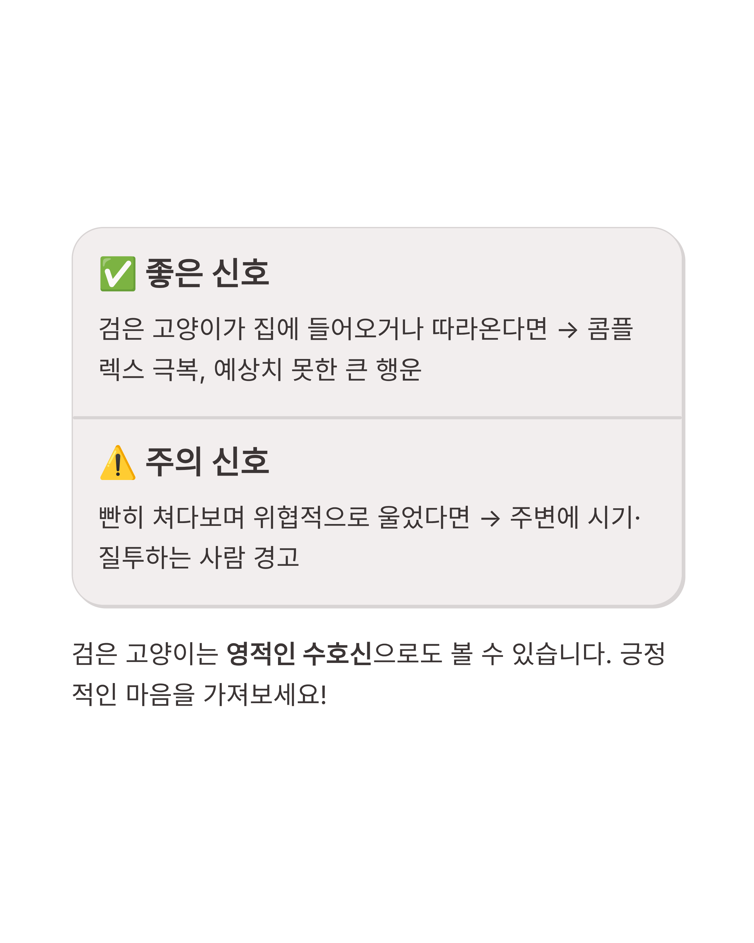 고양이 꿈 해몽 ❘ 할퀴는 검은 고양이 새끼 고양이까지? 행운과 경고의 미묘한 차이 완벽 가이드
