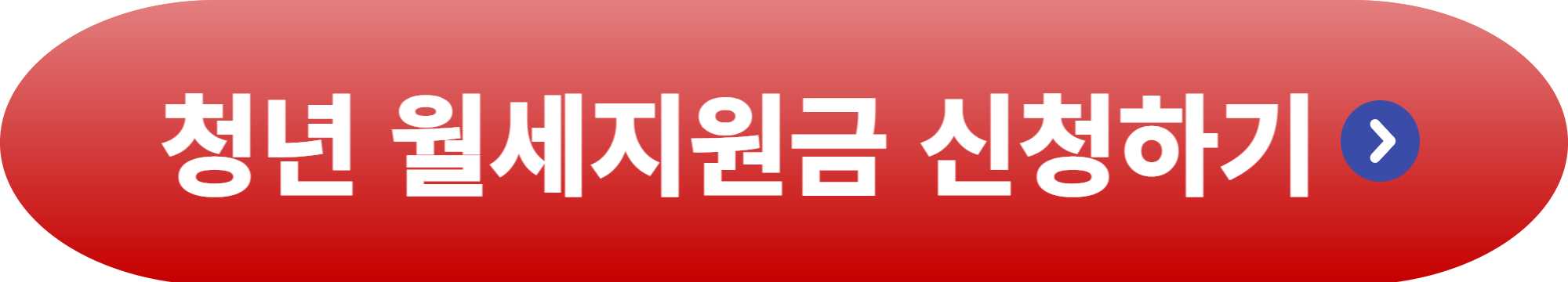 청년 월세 지원금