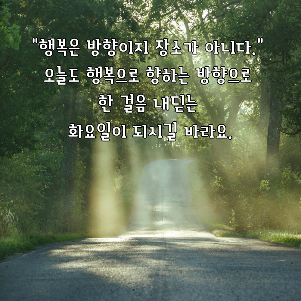 화요일 아침 인사말 문구 이미지 모음 인사글 안부 문자 메세지 카톡