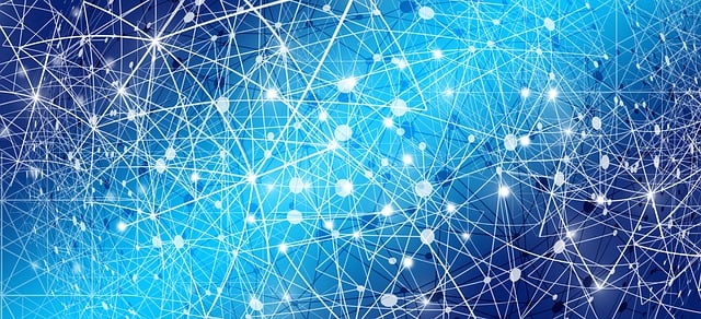 식자재 코드 기반 발주 자동화 시스템의 구조와 실제 운영 메커니즘 분석