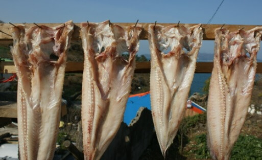 6시 내고향 통영 추도 반건조 생선 택배 주문 및 숙박예약 방법 윤성호추도물메기 (추도 배편 예약 방법)