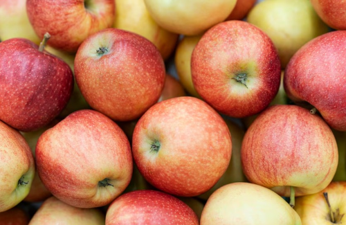 폐건강에 좋은음식