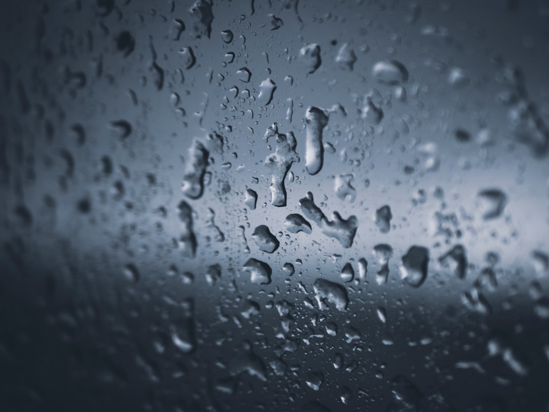 Rain.