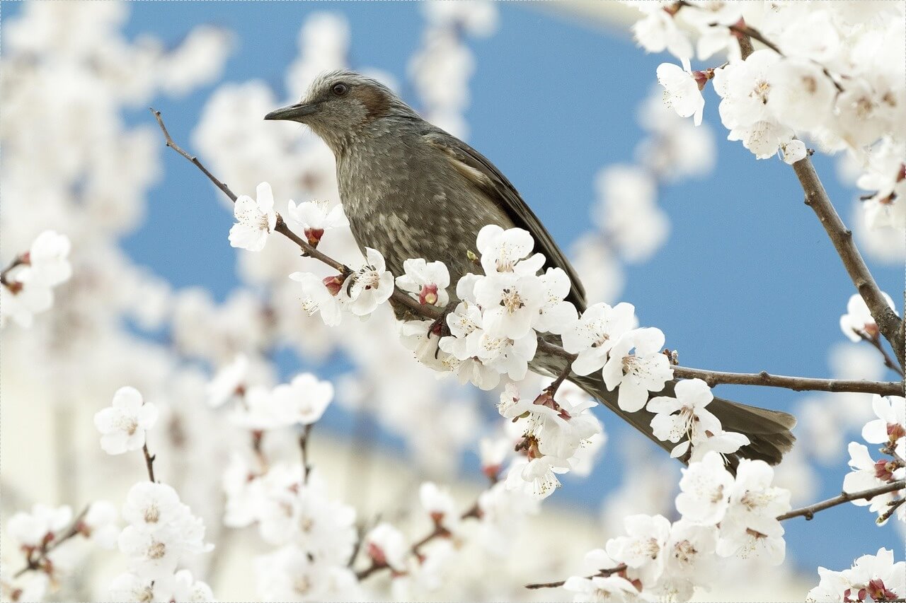 하나은행 정기예금 금리