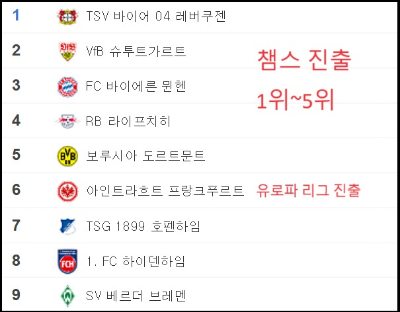알트태그-분데스리가 1위~9위