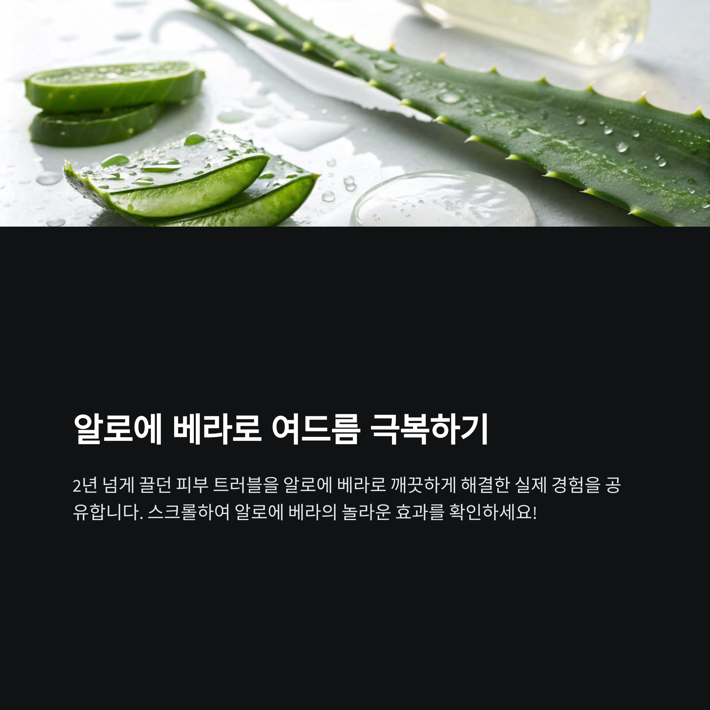 알로에 베라로 여드름 완치? 제가 해봤습니다 진짜 후기 공개