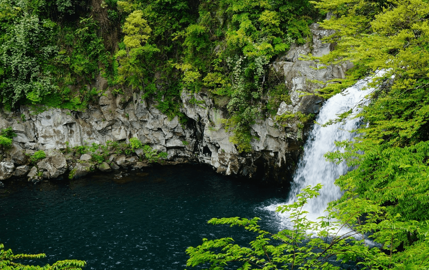 제주도 항공권 예약하기