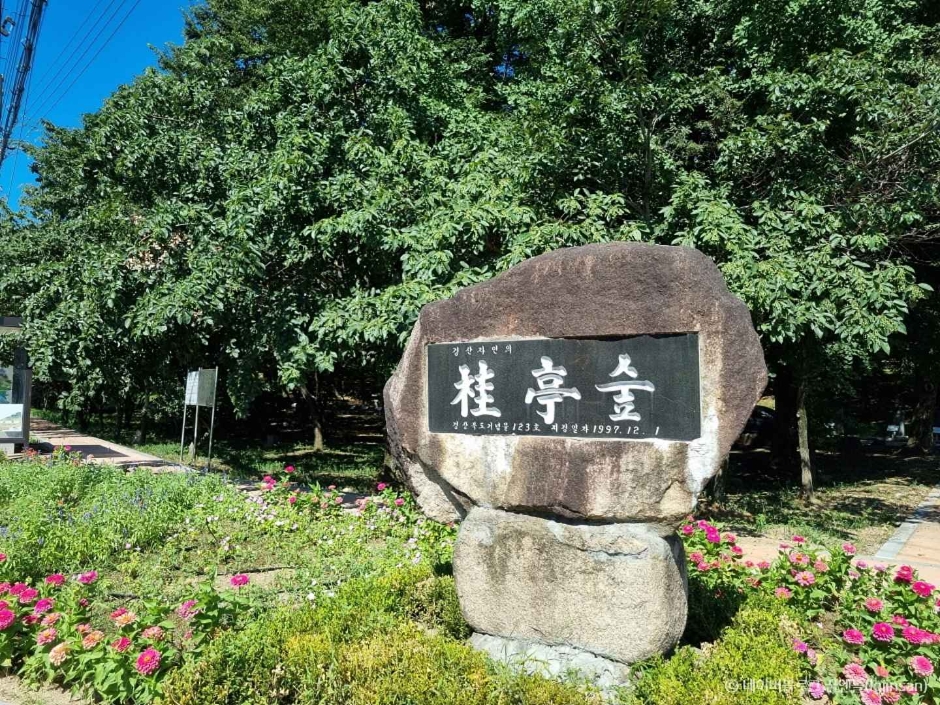 경산 가볼만한곳 베스트10