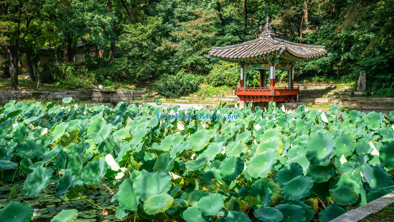 창덕궁 애련지