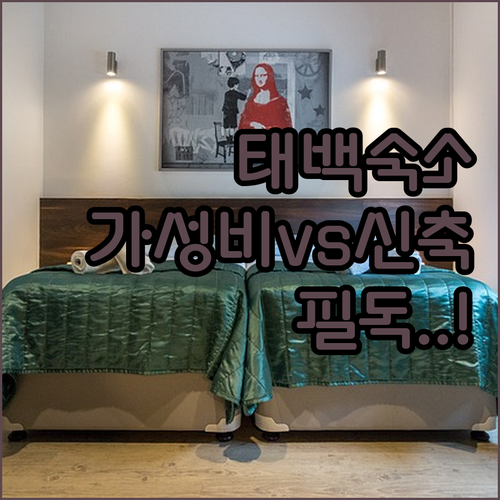 태백 여행 숙소 예약 전 확인하는 가..