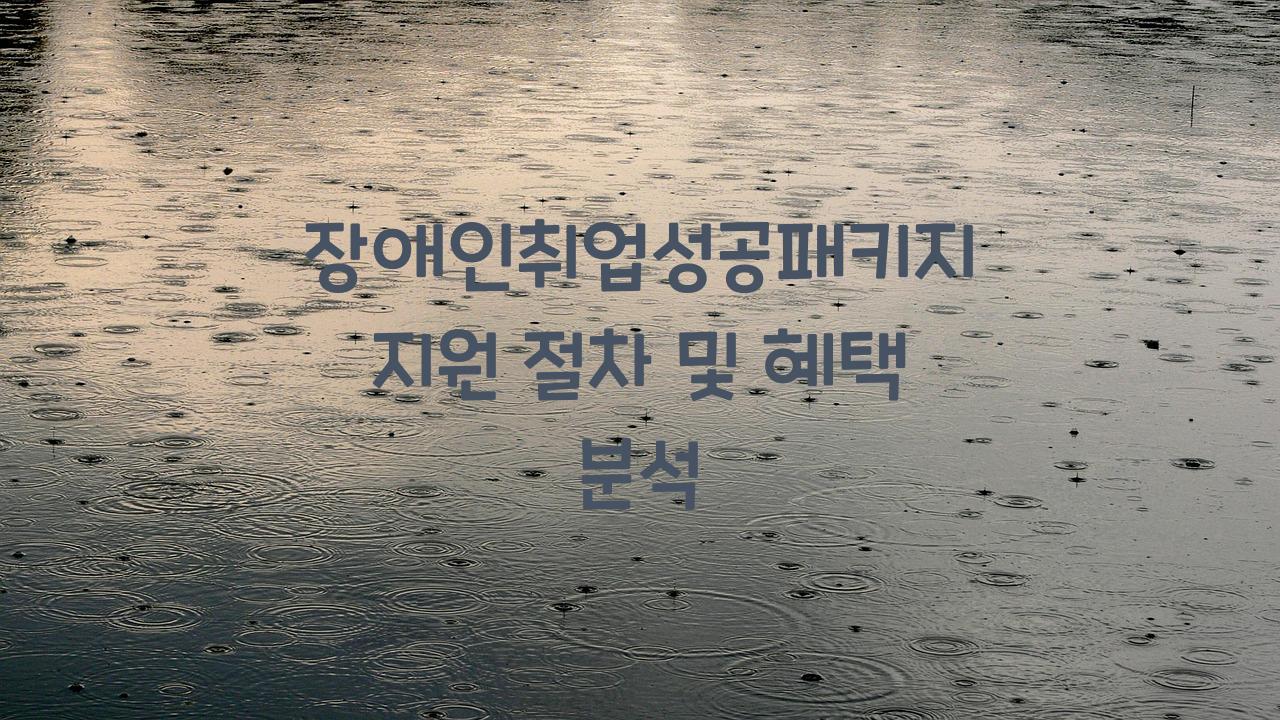 장애인취업성공패키지