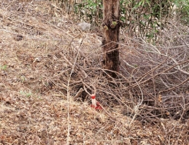 토지 측량 경계점 표시 방법