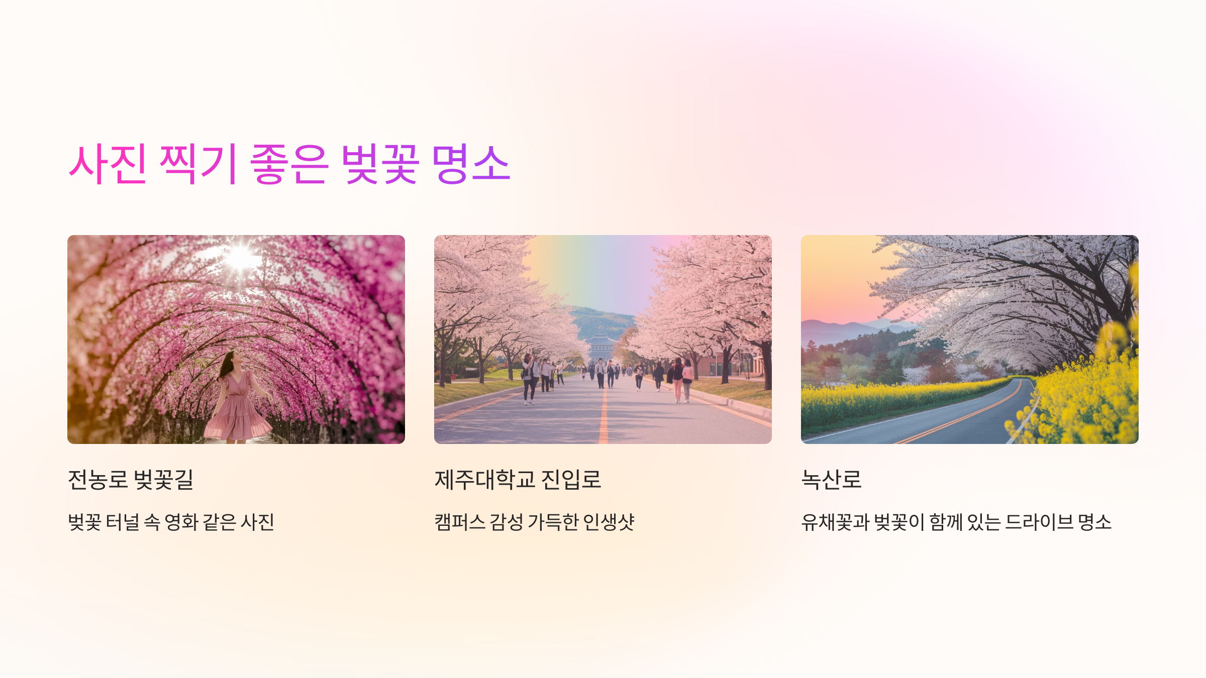 📸 사진 찍기 좋은 벚꽃 명소