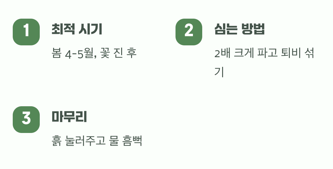 성공적인 첫걸음&amp;#44; 옮겨 심기