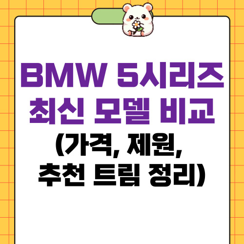 bmw5 시리즈