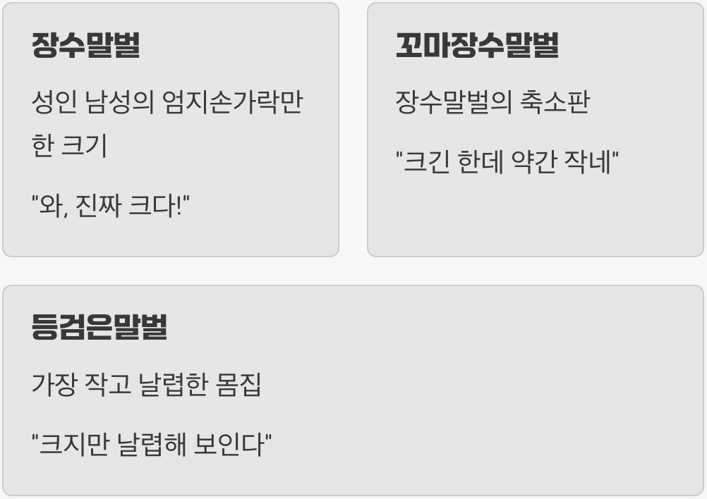 4. 마지막 단서, 비교 불가의 압도적인 덩치