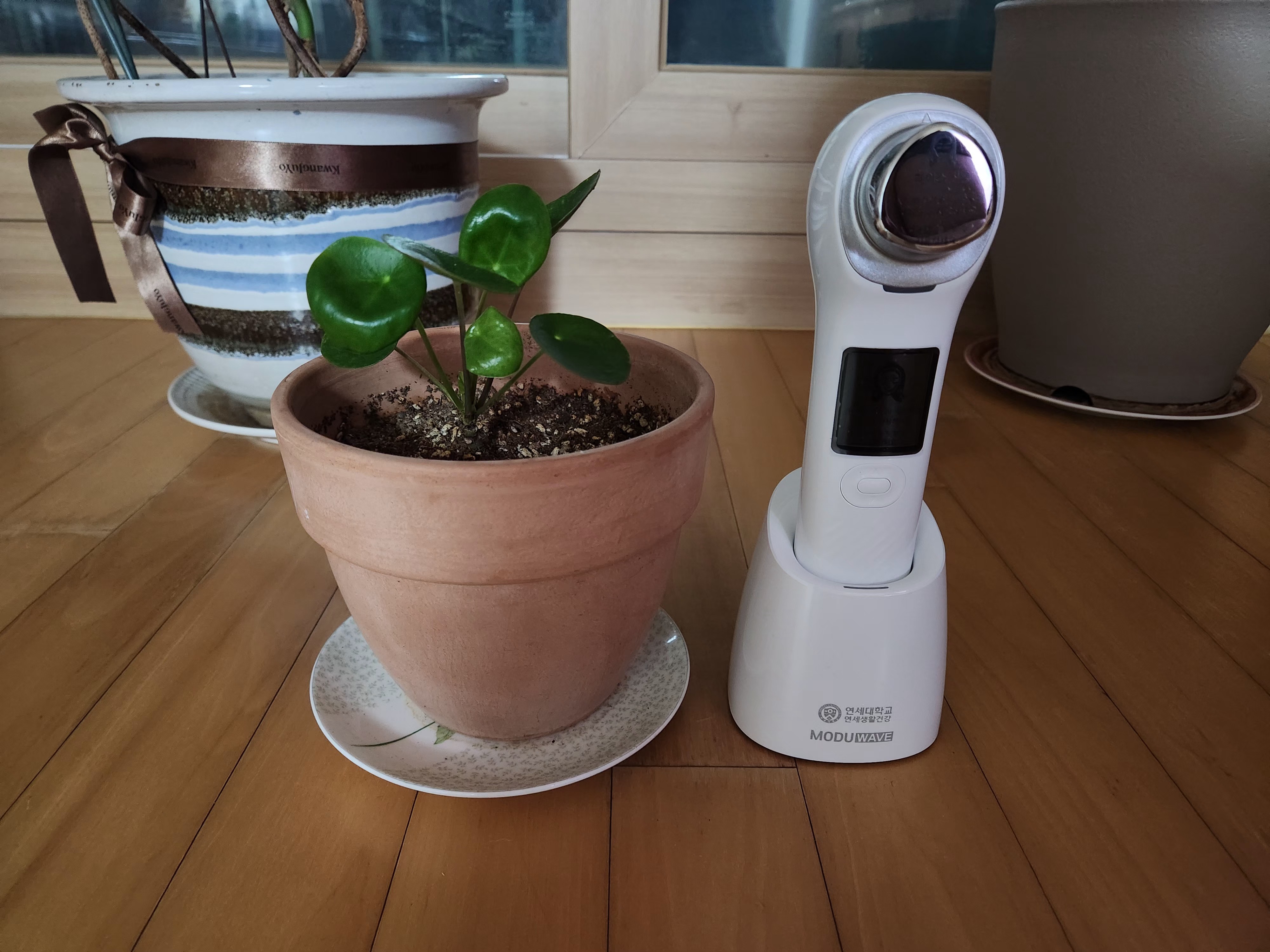 교원초음파기기크기