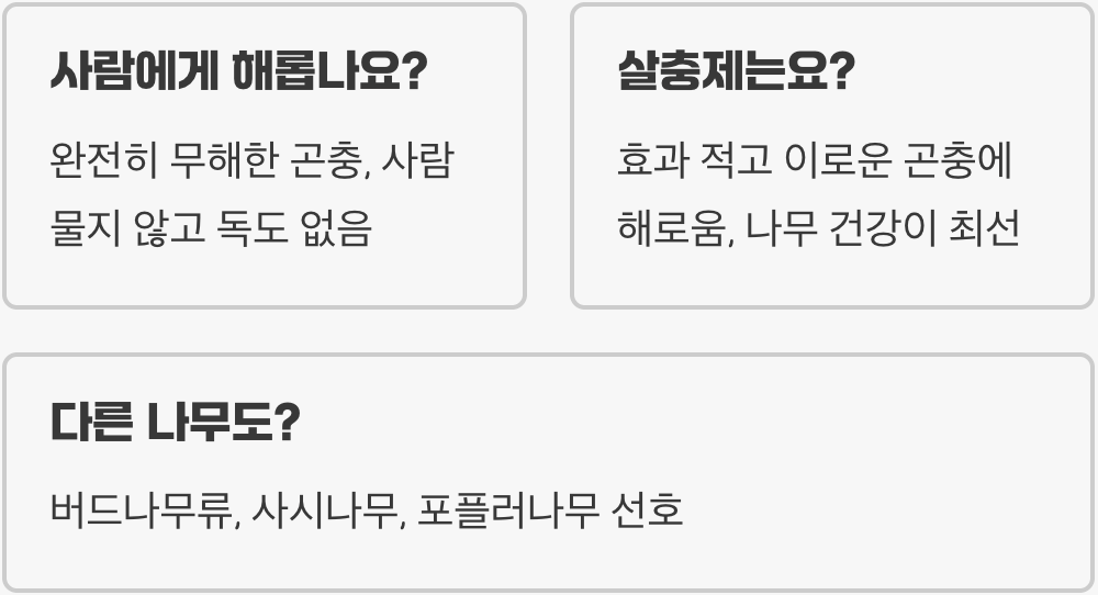 우리 집 버드나무에 버들하늘소가? 그냥 둬도 괜찮을까? (익충 vs 해충 논란 종결)
