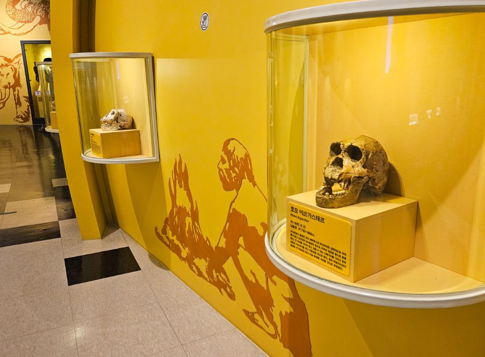 강화자연사박물관