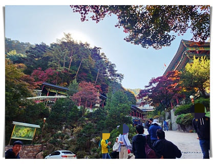 구인사 14