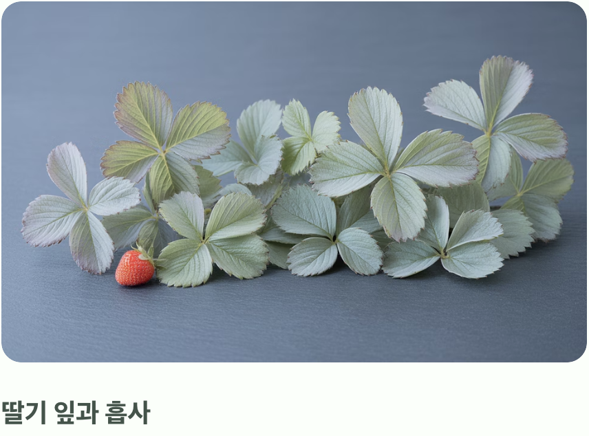 오히려 사랑스러운&amp;#44; 뱀무의 진짜 얼굴