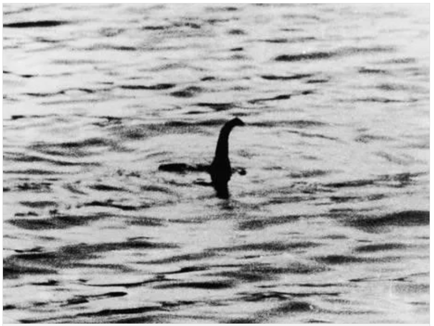 네스호의 괴물 사진